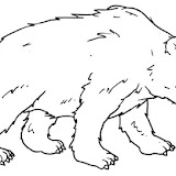 orso_caverne.jpg