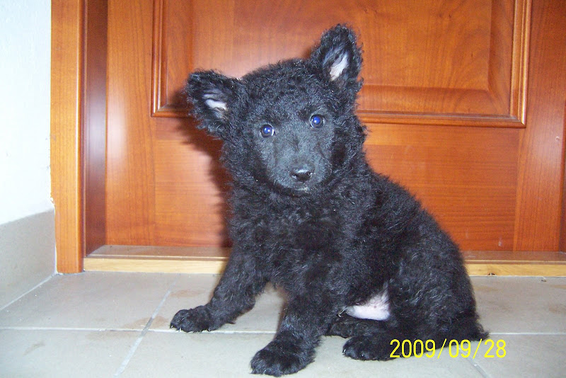 Bety%C3%A1r%20003.jpg