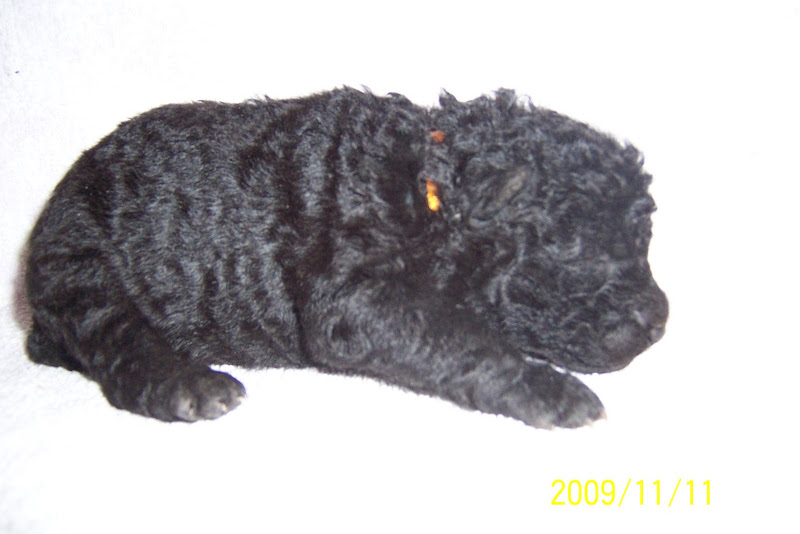 2009.11.03%20053.jpg