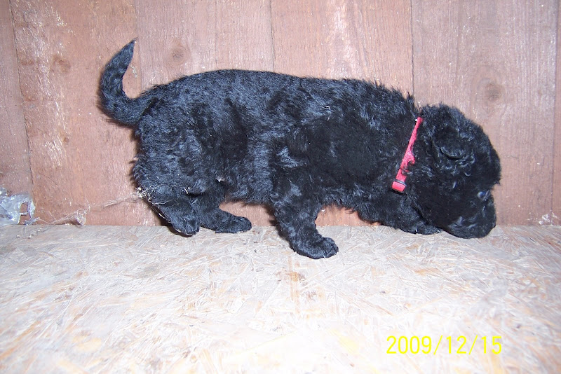 2009.12.15%20%20A-alom%20005.jpg