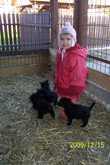 2009.12.15%20%20A-alom%20030.jpg