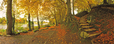 Peter O'Donnell, Irish Photographer: Autumn's walk, Castleconnell, Co Limerick 