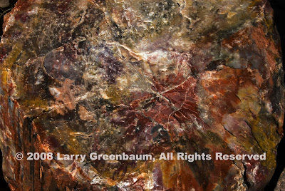 Larry Greenbaum