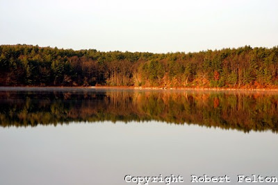 Walden Pond - Robert Todd Felton