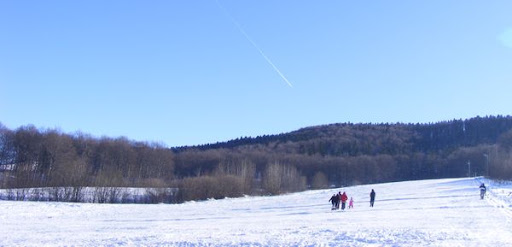 iarna Putna