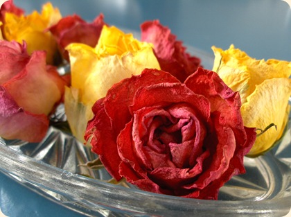 Tørrede roser