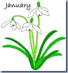Januarycol Januarycol