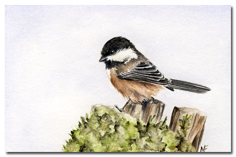 watercolour chickadee painting