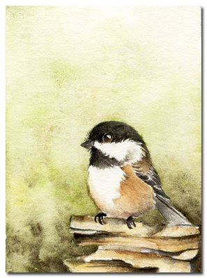 watercolour chickadee painting