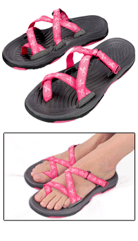 [pinkribbon shoes[2].gif]