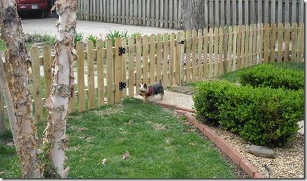 new fence 4-5-10 1