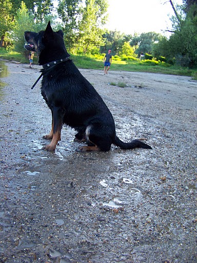100_4439.JPG