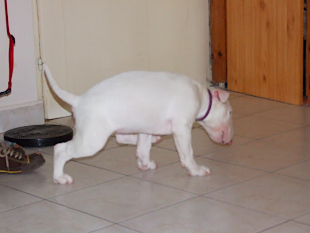 DSCF2988.JPG