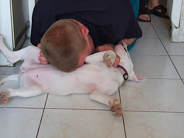 DSCF3005.JPG