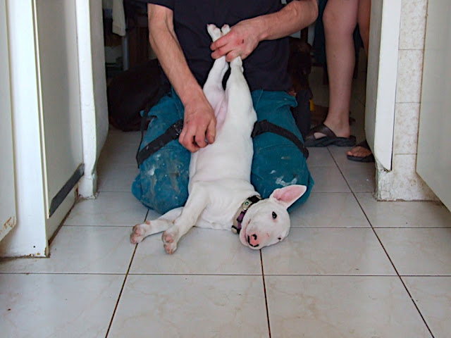 DSCF3010.JPG
