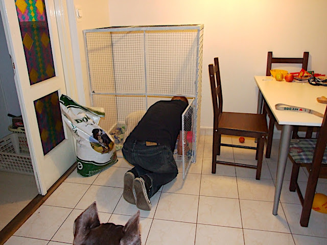 DSCF3065.JPG