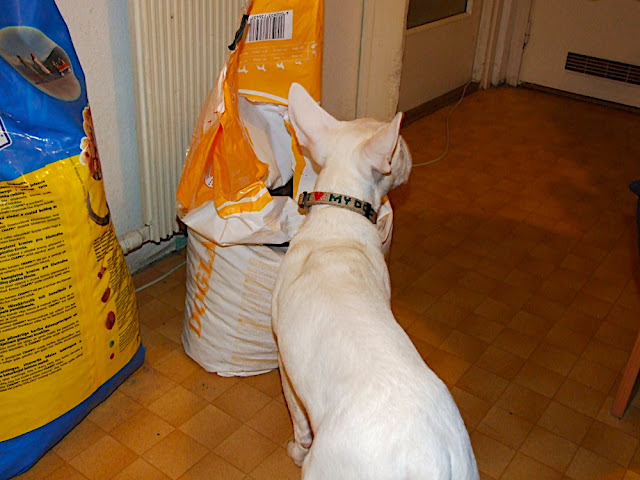 DSCF3136.JPG