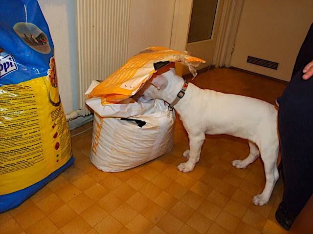 DSCF3146.JPG