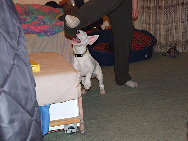 DSCF3169.JPG