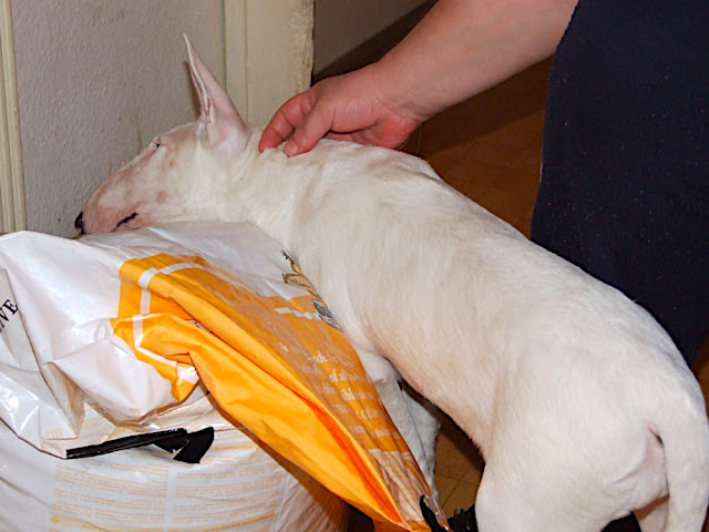 DSCF3178.JPG