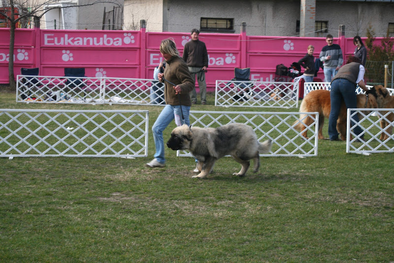 IMG_1681.jpg