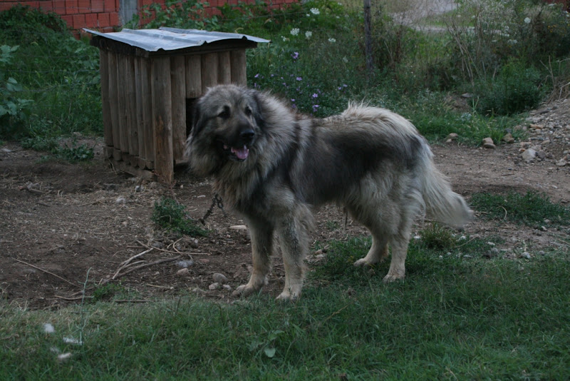 IMG_4767.jpg