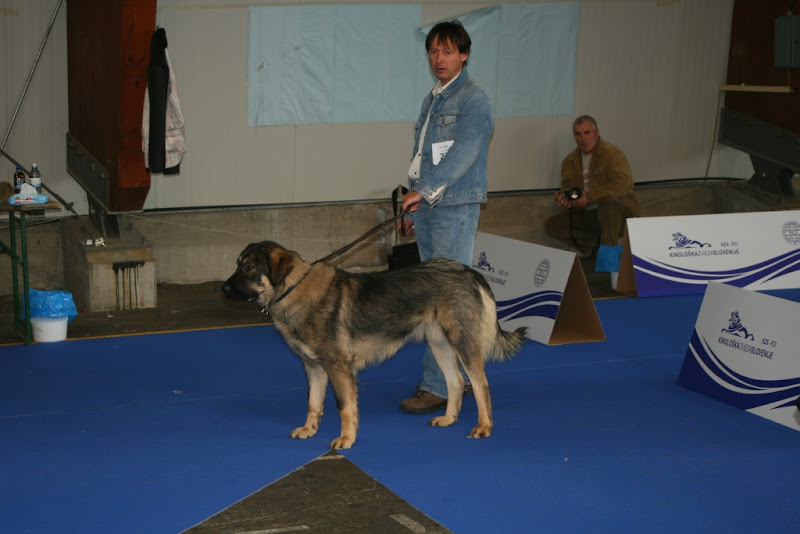 IMG_6231.jpg