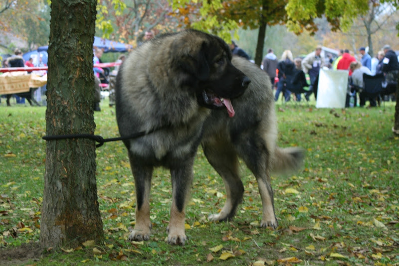 IMG_6560.jpg