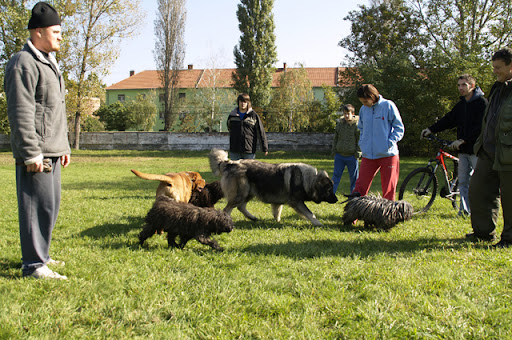 szabadszallas05.jpg