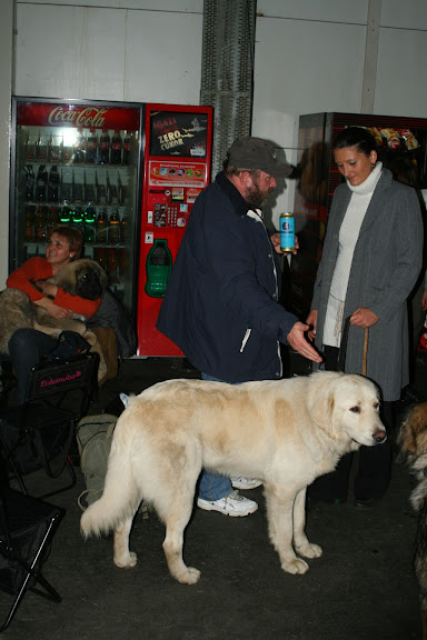 IMG_6586.jpg