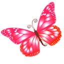 [butterfly (12)[3].png]