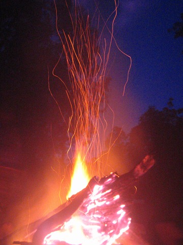 [Picture 257[3].jpg]