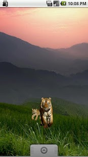 Lastest Tiger with Cub Sticker APK for Android