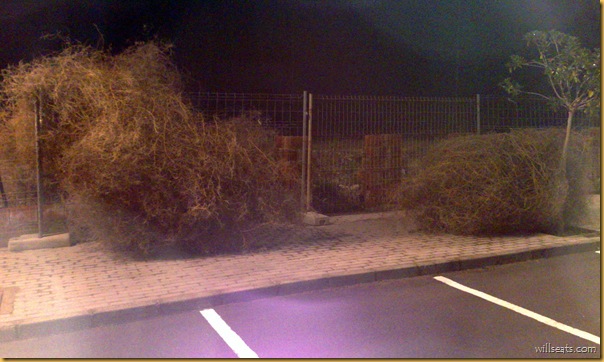 tumbleweeds31122009809