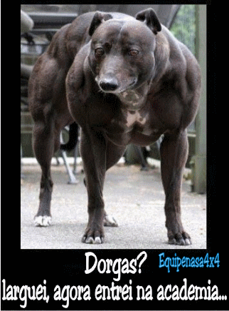 dorgas.gif
