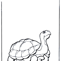 tortuga-de-tierra-b528.jpg