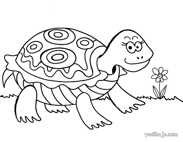 TORTUGAS PARA COLOREAR proyecto tortugas