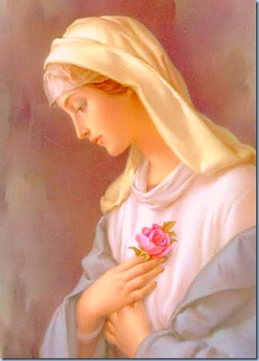 Mamá María Reina del Cielo y tierra