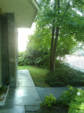 [2009-07-15 16.55.16[2].jpg]