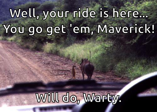 Well, your ride is here... Go get 'em, Maverick! Will do, Warty.