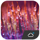 Herunterladen Optimus Style Weather Widget Installieren Sie Neueste APK Downloader