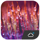 アプリのダウンロード Optimus Style Weather Widget をインストールする 最新 APK ダウンローダ