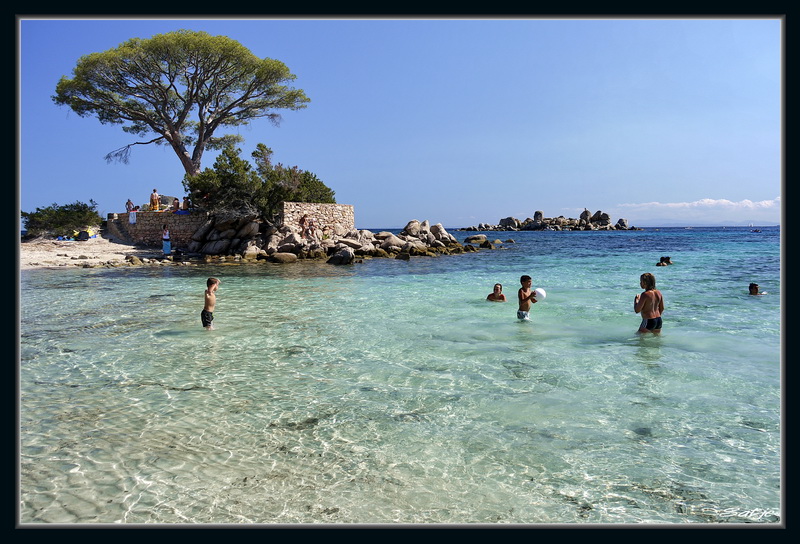 Plage De Palombaggia Corse Du Sud