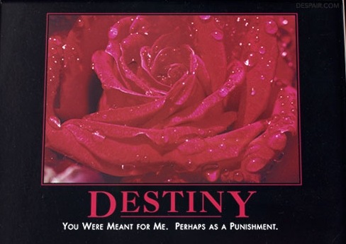 Destiny Poster @ www.despair.com