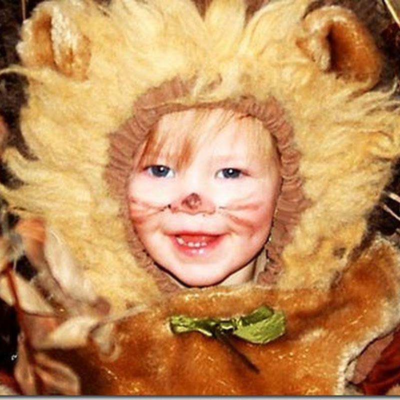 como hacer un Disfraz casero de león para bebé