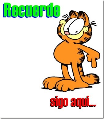 Garfield13