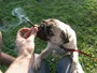 fumar (9) fumar (9)