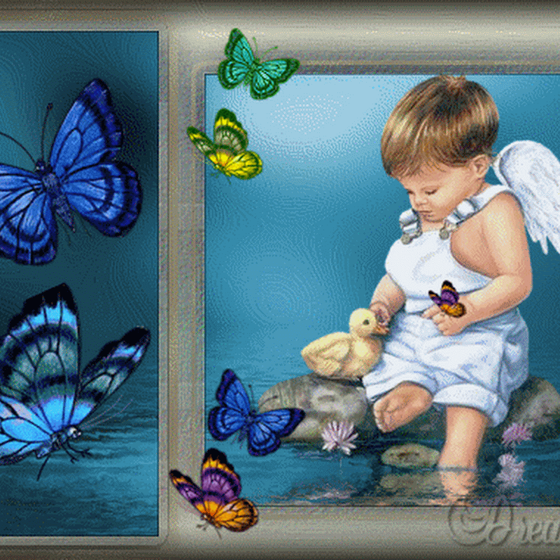 Niños con alas, ángeles