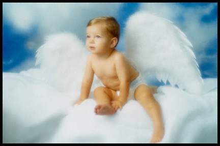 [Angel baby[2].jpg]