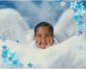 carlton angel1 carlton angel1